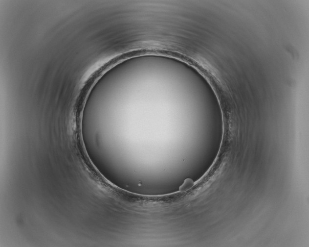 X0000115731070200911121507