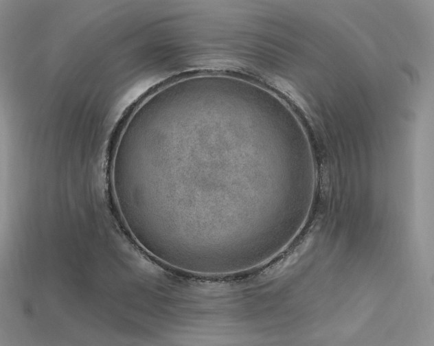X0000115731071200911121507