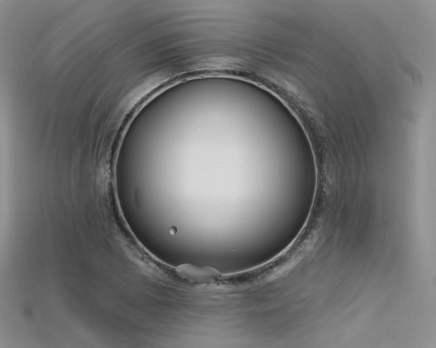 X0000115731073200911121507