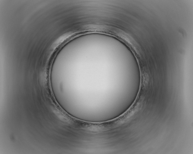 X0000115731074200911121507
