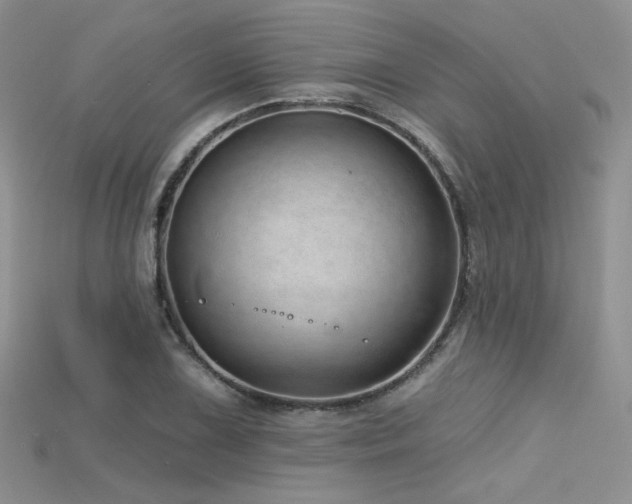 X0000115731075200911121507