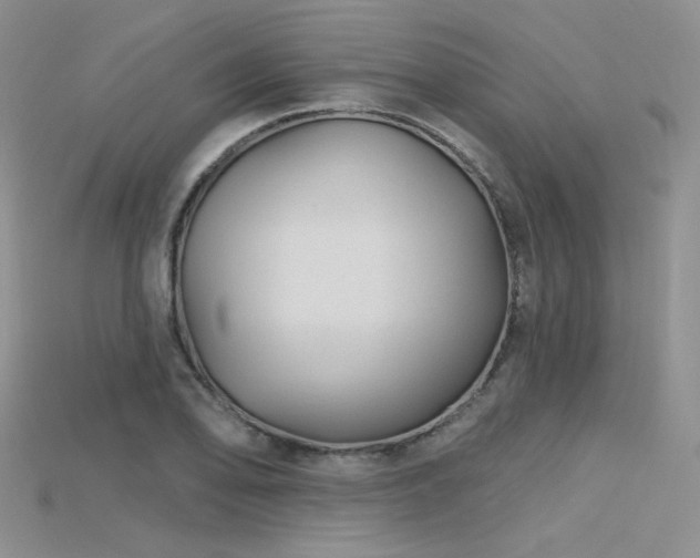 X0000115731078200911121507
