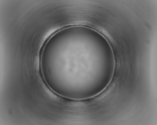 X0000115731079200911121507