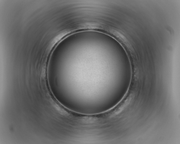 X0000115731081200911121507