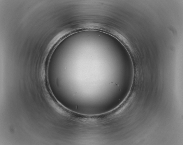 X0000115731082200911121507