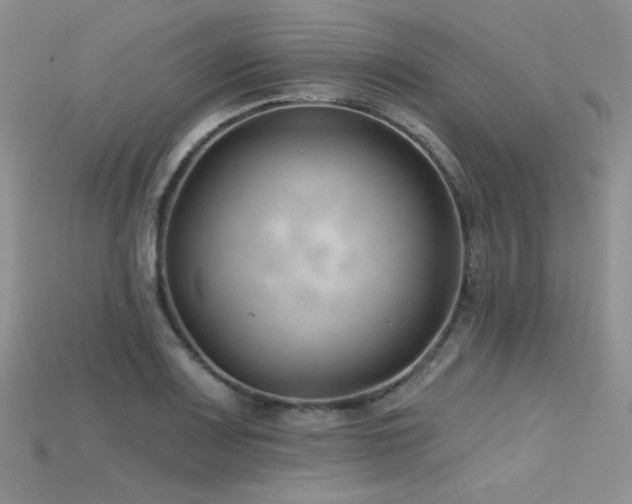 X0000115731083200911121507