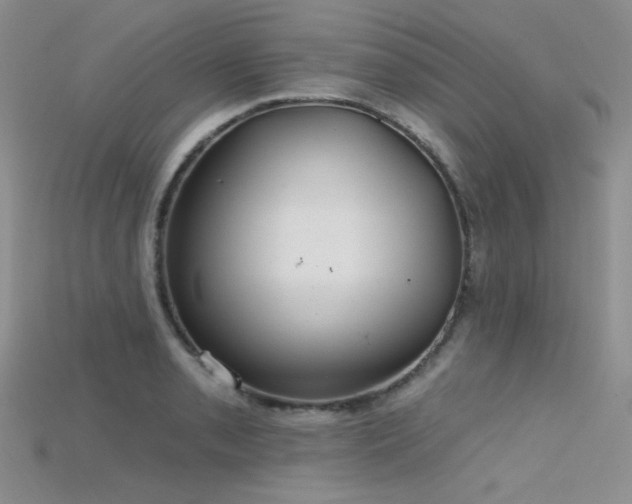 X0000115731085200911121507