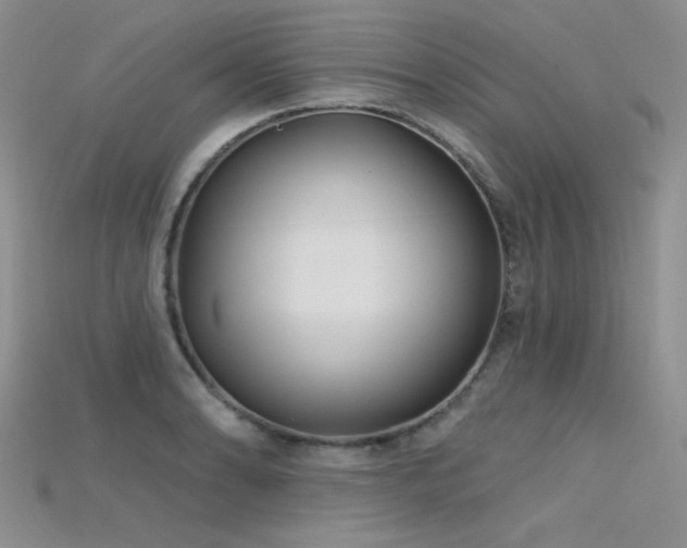 X0000115731086200911121507