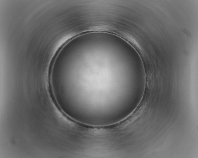 X0000115731087200911121507