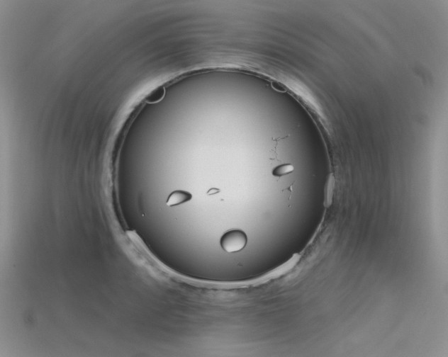 X0000115731088200911121507