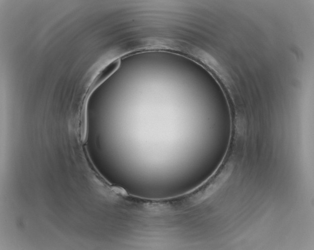 X0000115731089200911121507