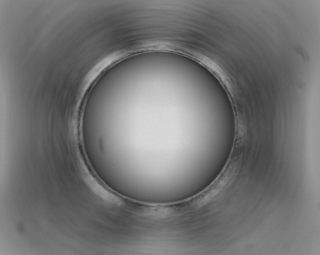 X0000115731090200911121507