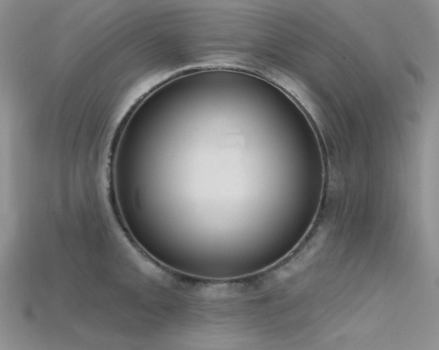 X0000115731093200911121506