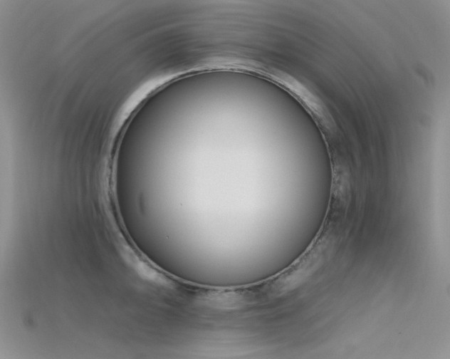 X0000115731094200911121506