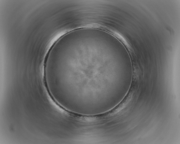 X0000115731095200911121506