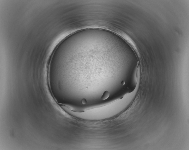 X0000115731096200911121506