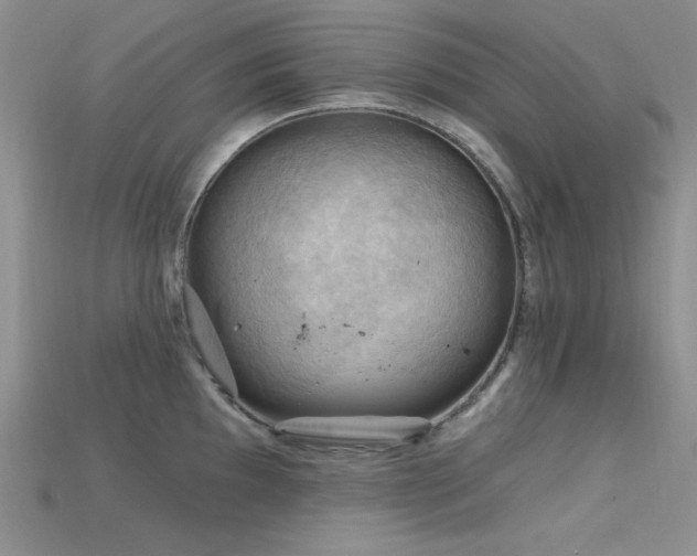 X0000115731097200911121506