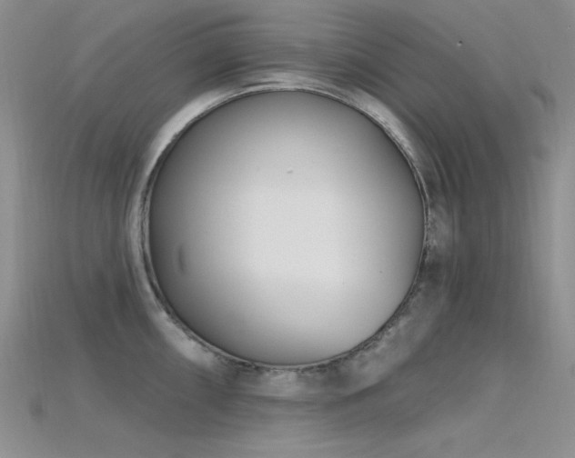 X0000115731098200911121506