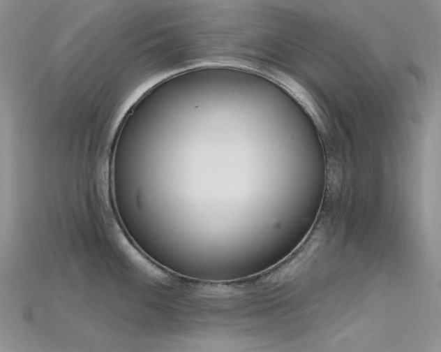 X0000115731100200911121506