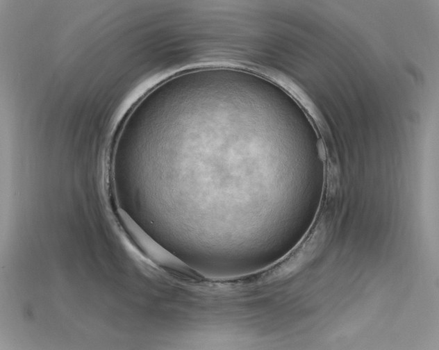 X0000115731101200911121506