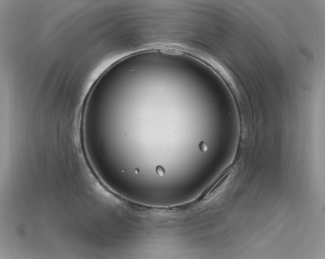 X0000115731102200911121506