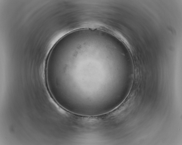 X0000115731103200911121506