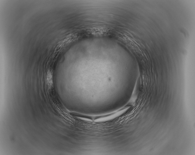 X0000115731106200911121506