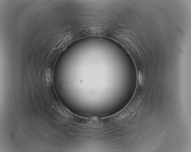 X0000115731107200911121506