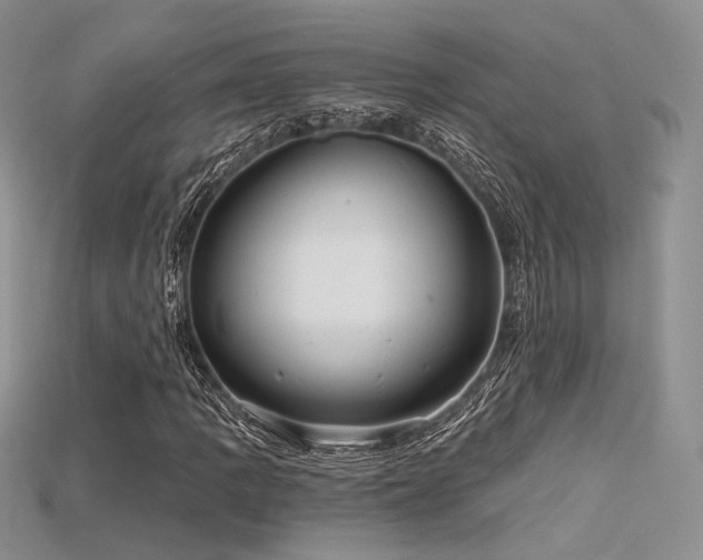 X0000115731109200911121506