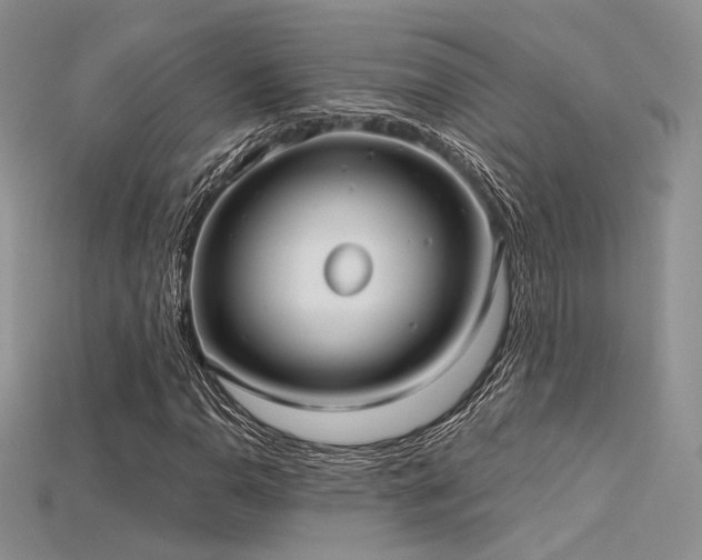 X0000115731110200911121506