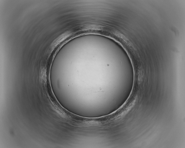 X0000115731113200911121506