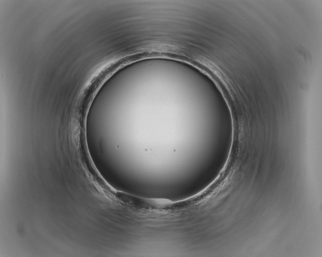 X0000115731115200911121506