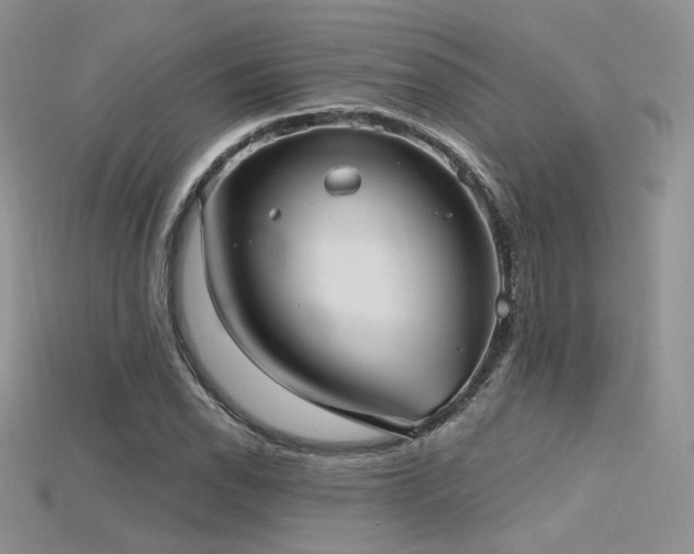X0000115731118200911121506