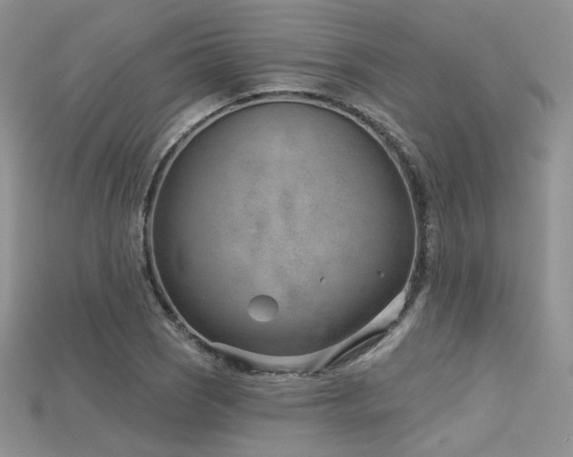 X0000115731121200911121506