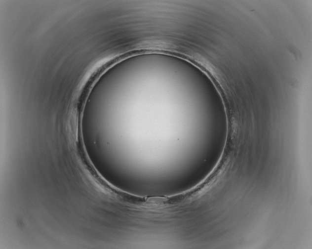 X0000115731123200911121506