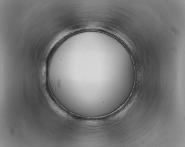 X0000115731126200911121506