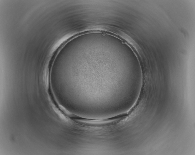 X0000115731127200911121506