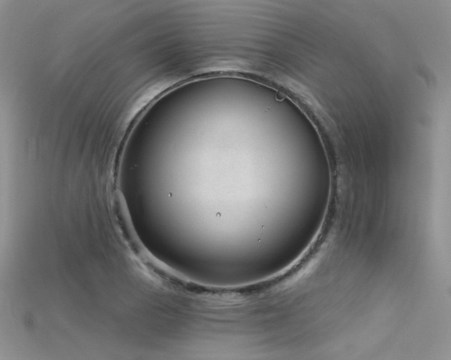 X0000115731129200911121506