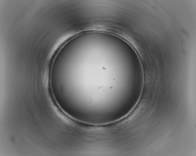 X0000115731131200911121506