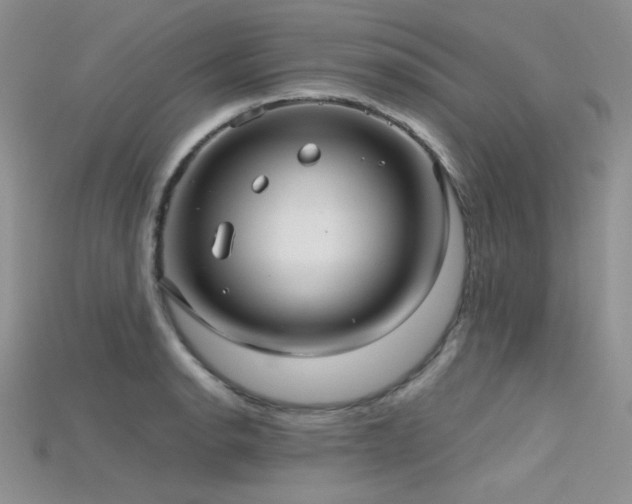 X0000115731134200911121506