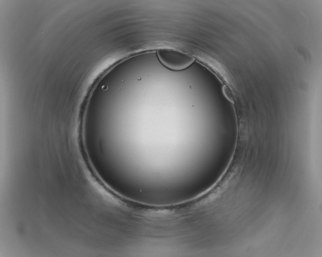 X0000115731135200911121506