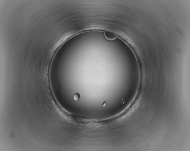 X0000115731137200911121506