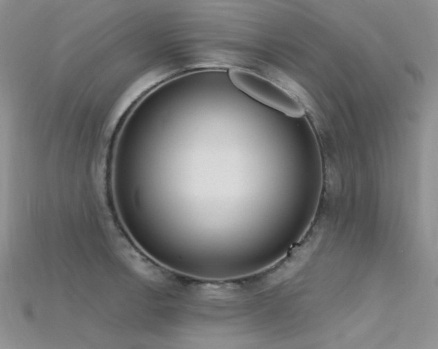 X0000115731138200911121506