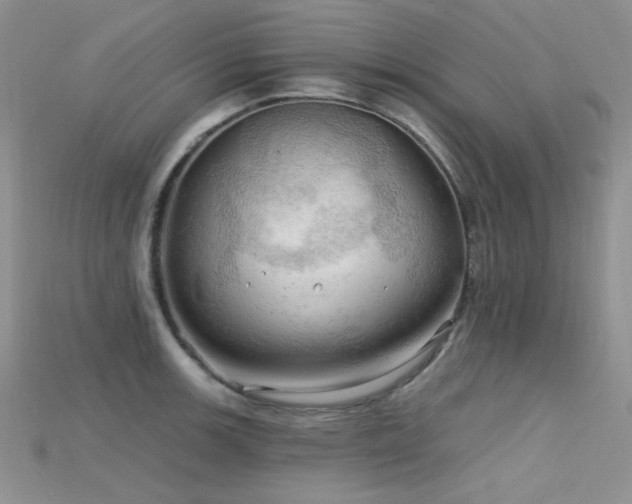 X0000115731139200911121506