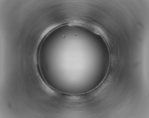 X0000115731141200911121506
