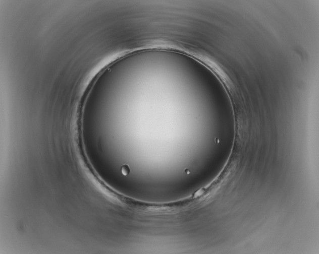 X0000115731142200911121506