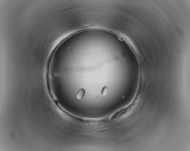X0000115731149200911121506