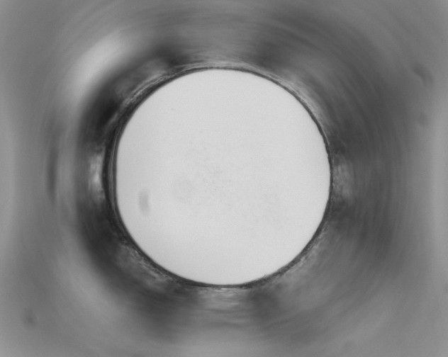 X0000115731150200911121506