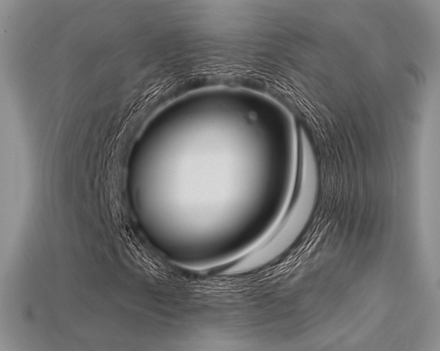 X0000115731153200911121506