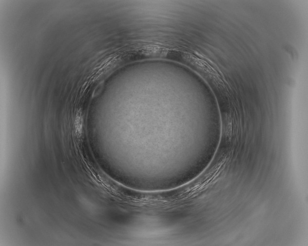 X0000115731154200911121506